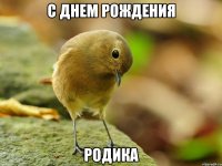 С Днем Рождения Родика