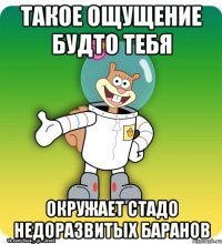 такое ощущение будто тебя окружает стадо недоразвитых баранов