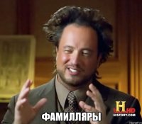  Фамилляры