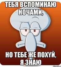 Тебя вcпоминaю ночaми, нo тебe жe поxyй, я знaю