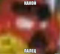 КАКОЙ ПАЛЕЦ