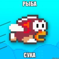 рыба сука