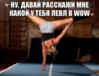 Ну, давай расскажи мне какой у тебя левл в WOW 