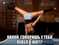  Какой, говоришь у тебя левел в WOT?