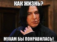 Как жизнь? Мухам бы понравилась!