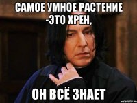Самое умное растение -это хрен, он всё знает