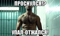 Проснулся!? Упал-отжался!