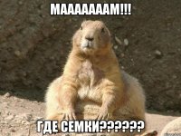 Мааааааам!!! Где Семки??????