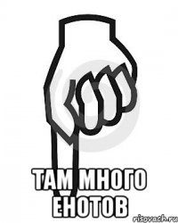  там много енотов