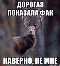 Дорогая показала фак Наверно, не мне