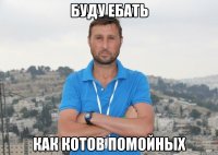 Буду ебать как котов помойных