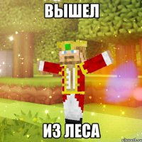 Вышел из леса