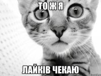 ТО Ж Я ЛАЙКІВ ЧЕКАЮ