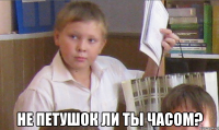  Не петушок ли ты часом?
