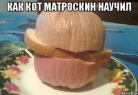 Как кот матроскин научил 