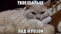 твое ебальце под угрозой