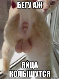 бегу аж яйца колышутся