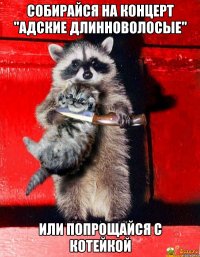 Собирайся на концерт "АДские длинноволосые" или попрощайся с котейкой