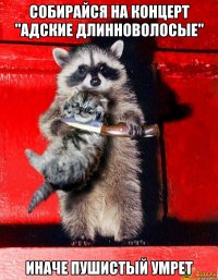 Собирайся на концерт "АДские длинноволосые" Иначе пушистый умрет