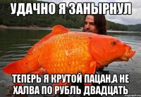Удачно я занырнул теперь я крутой пацан,а не халва по рубль двадцать