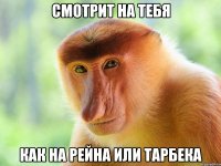 Смотрит на тебя Как на Рейна или Тарбека