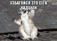узбагойся это сега кадцын 