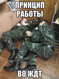 принцип работы ВО ЖДТ