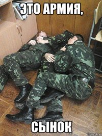 это армия, сынок