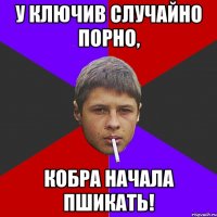 У ключив случайно порно, Кобра начала пшикать!