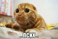  ...псих...