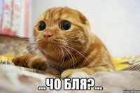  ...чо бля?...