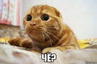  чё?