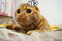 ...чё? 
