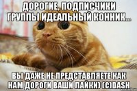 Дорогие, подписчики группы Идеальный Конник... Вы даже не представляете как нам дороги ваши лайки) (с)Dash