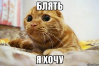 Блять Я хочу