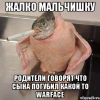 жалко мальчишку Родители говорят что сына погубил какой то warface