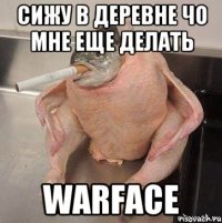 сижу в деревне чо мне еще делать warface