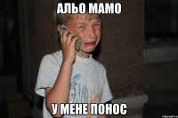 альо мамо у мене понос