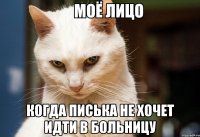  когда писька не хочет идти в больницу