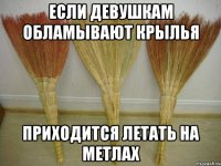 Если девушкам обламывают крылья Приходится летать на метлах