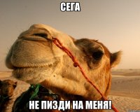 Сега Не пизди на меня!