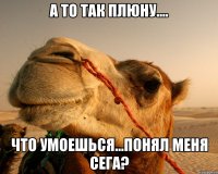 а то так плюну.... что умоешься...понял меня Сега?