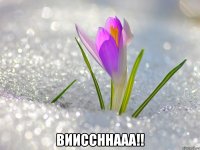  вииссннааа!!