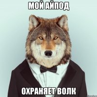 Мой айпод Охраняет волк