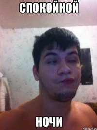 спокойной ночи