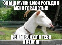 Слыш мужик,мои рога,для меня гордость!!! А вот твои для тебя позор!!!