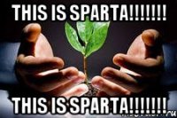 This is sparta!!!!!!! This is sparta!!!!!!!