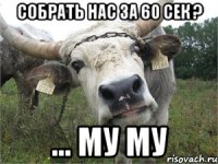 собрать нас за 60 сек ? ... му му