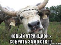  новый атракцион - собрать за 60 сек !!!