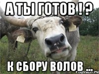 А ты готов ! ? к сбору волов ...